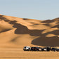 Desert Safari Tour